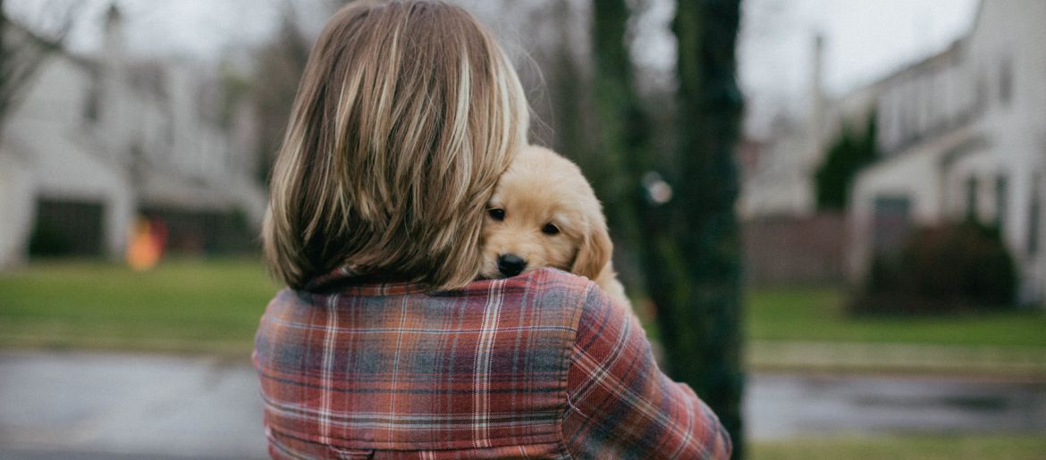 Ways To Know Your Golden Retriever Loves You